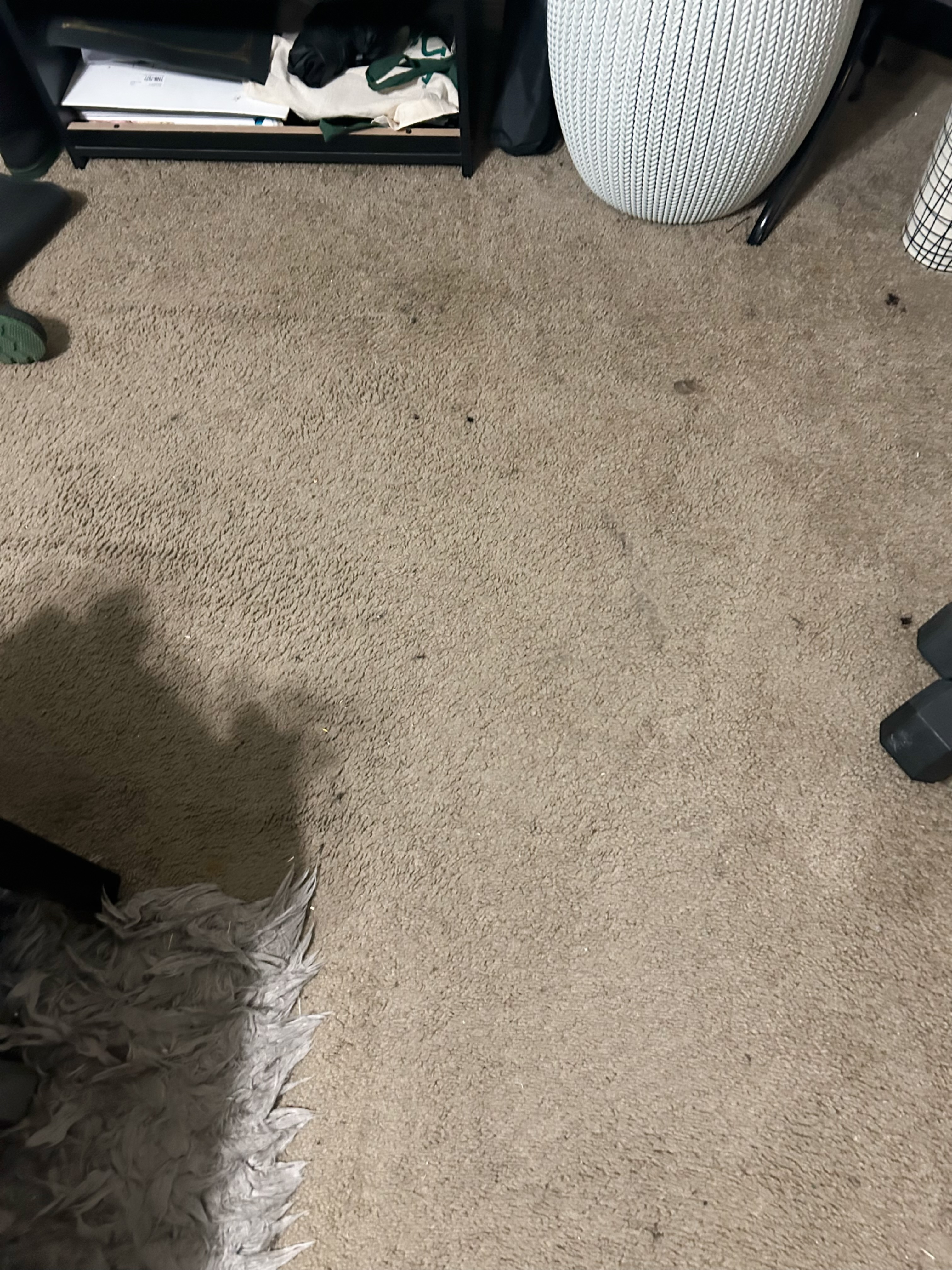 Central Texas - CS Before 2.jpg